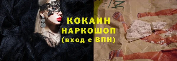 индика Аркадак