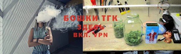 сатива Баксан