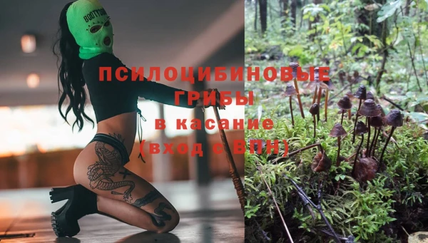сатива Баксан