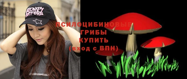 сатива Баксан