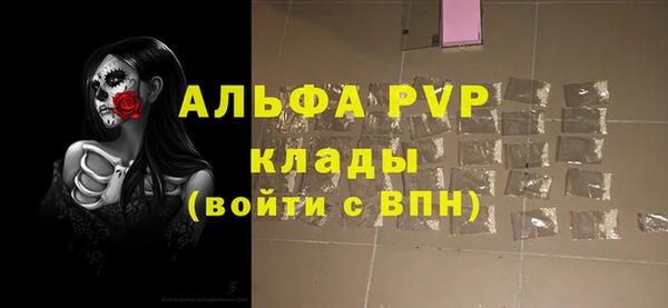 индика Аркадак