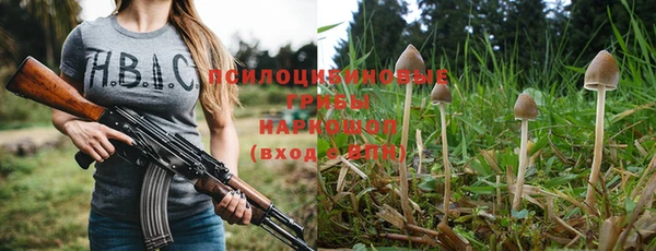 ГАЛЛЮЦИНОГЕННЫЕ ГРИБЫ Балабаново
