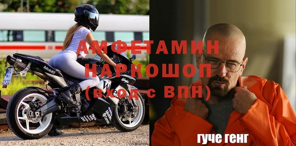 индика Аркадак