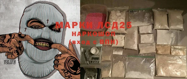 индика Аркадак