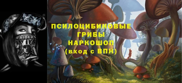 гидропоника Арсеньев