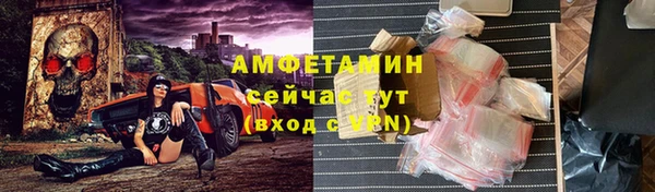 стаф Алзамай